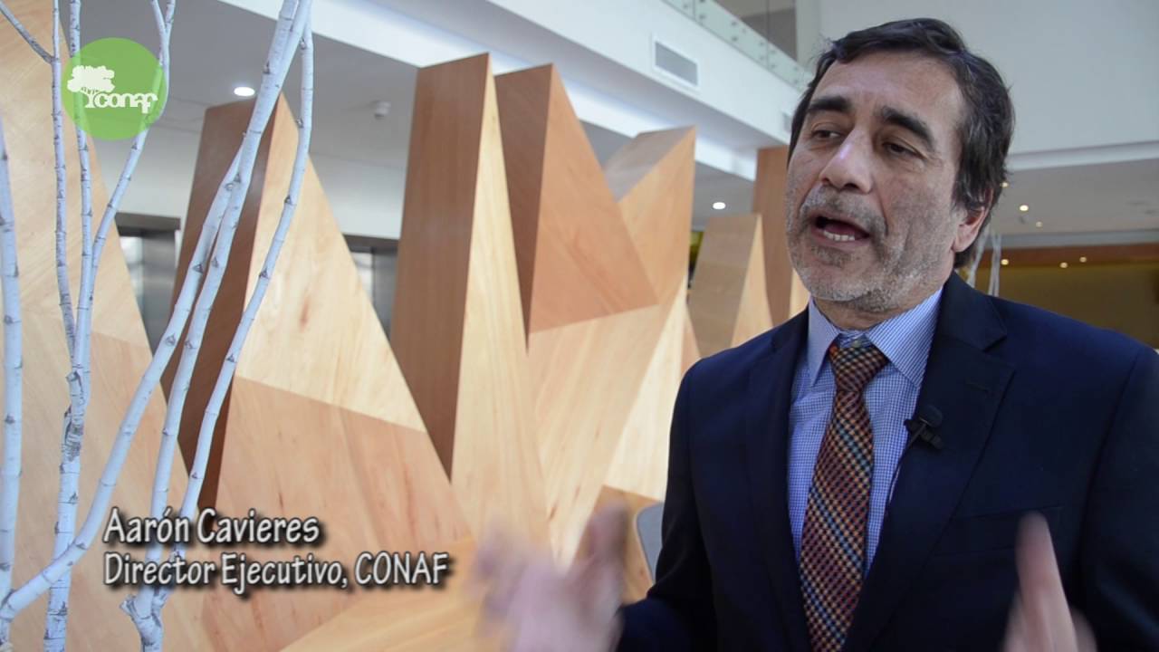 Parque Nacional Río Clarillo: Gestión Institucional