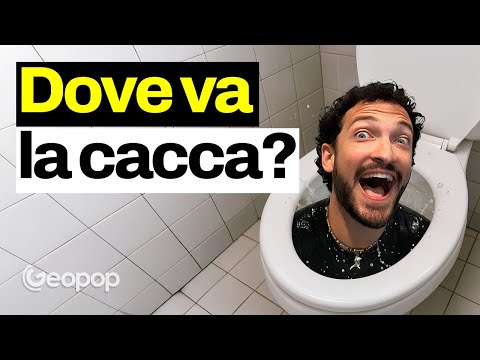 Where does poop go when we flush the toilet? Inside a wastewater treatment plant.