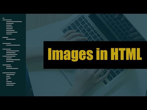 Using Images in HTML | Eduonix
