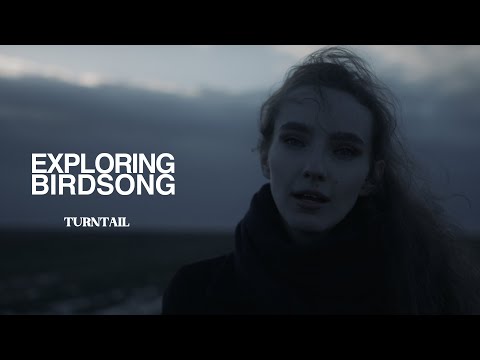 Exploring Birdsong - Turntail (Official Music Video)