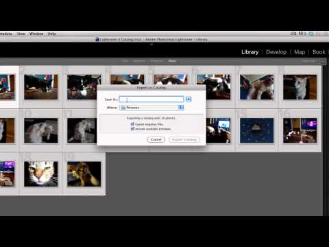 How to Run Lightroom in 64 Bit