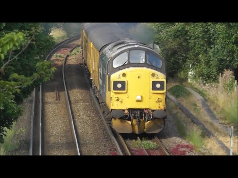 *Thrash* 37025 & 116 Power Past Mill Lane Footbridge Working 1Q52 - 9/6/20