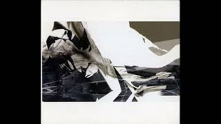 Burnt Friedman & Jaki Liebezeit ‎–Wirklich