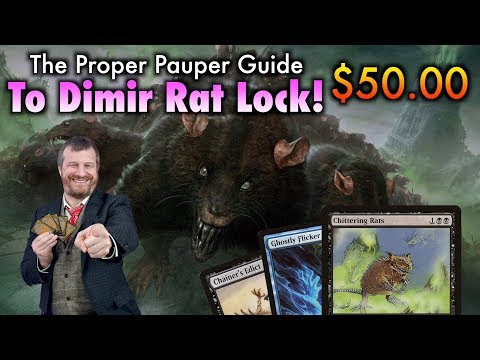 Rats! The Proper Pauper Guide To Dimir Rat Lock! A $50 Magic: The Gathering Deck