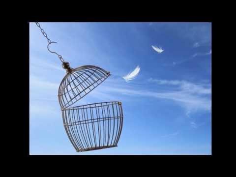 Solo per te (Apertamente) - Francesco Tripodi