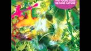 The Young Gods - astronomic