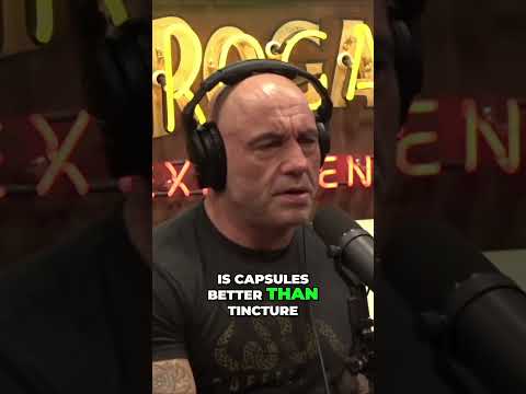 The Power of Mushrooms  Boost Your Gut Health with Lion's Mane and More