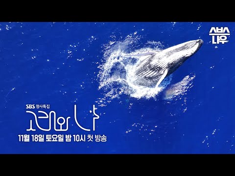 [티저] '고래를 만나다' 우리가 꿈꾸던 머나먼 신비를 찾아서🐳 #고래와나 #SBS스페셜 | SBSNOW#고래와나 #WhalesandI #SBS스페셜 | SBSNOW 예고편