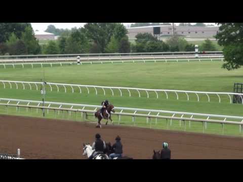 Karma 3/8 Breeze  5/9/2017