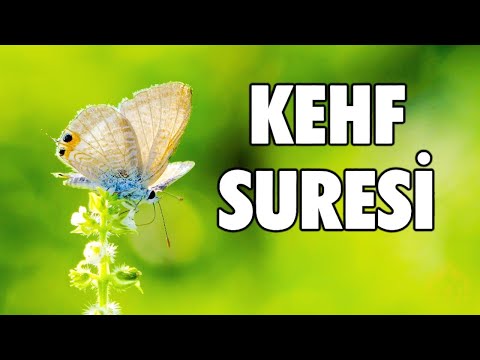 Kehf Suresi - Şimdi sana sabredemediğin şeylerin iç yüzünü anlatacağım
