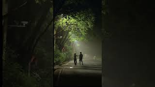 Download lagu she's a she's a lady - Ricky Montgomery  #lyrics #viralsong #viral mp3