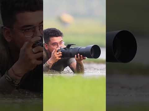 Nikon Z7II with Bird photography. #nikon #shots #birdsphotography #nikonz7ii #wildlifephotography