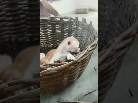 😼😂🤣😺👍🌹