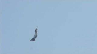 preview picture of video 'Eurofighter - Cameri - 04/10/2009'