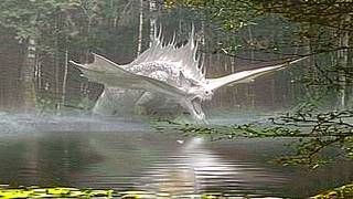 REAL Dragons Caught On Camera That Were Never Meant To Be Seen - Part 2