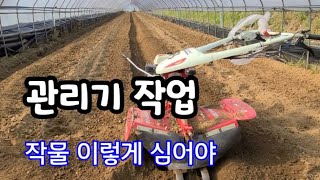 관리기 작업 여름철 작물은 이렇게해서 심어야