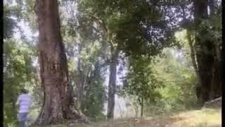 Download lagu Afdhal Yusman, penty Nur Afiani, Reiner G Manopo ost-Jangan Merajuk|misteri ilahi Indosiar gentabuan mp3