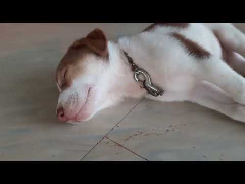 aadi eno kanasu kantidane