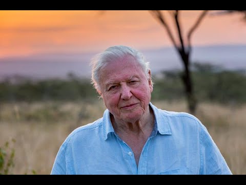Gypsy Traveller Grabbing - Narrated by David Attenborough #Short #David Attenborough