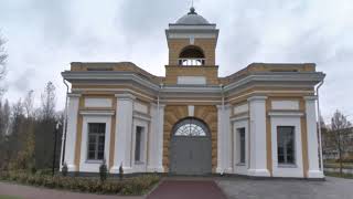 Затерялся счастья след ...Питер необходимо спасать от воронья !!!