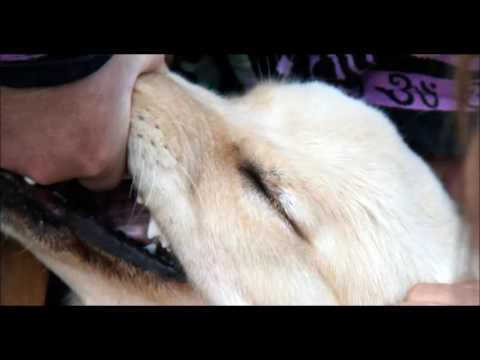 download lagu mp3 mp4 Jim O Rourke Fennesz, download lagu Jim O Rourke Fennesz gratis, unduh video klip Jim O Rourke Fennesz