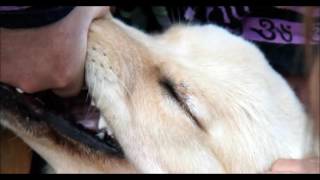 JIM O'ROURKE + CHRISTIAN FENNESZ