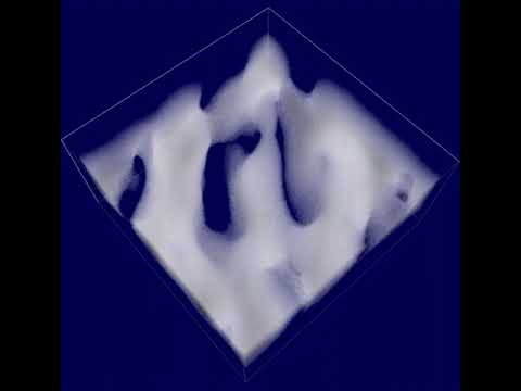 基礎理工学科 Coupled map latteice model for cloud formation