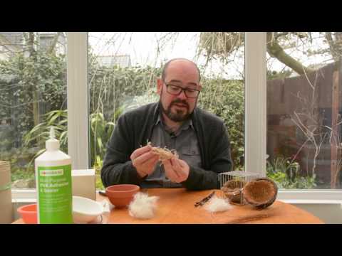 The Canary Room - Episode 5 Teaser