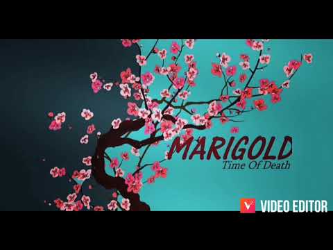 Marigold - Complacent (Official Audio)