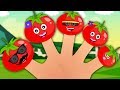 Tomato Finger Family Nursery Rhymes For Kids Children Song