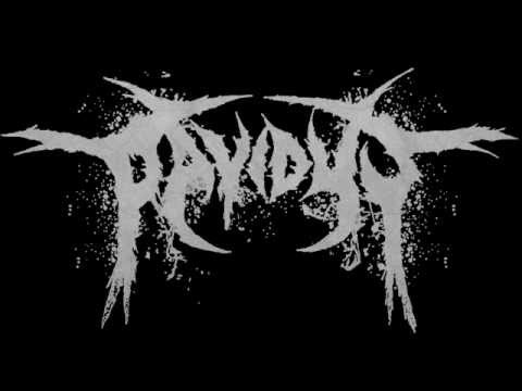 Pavidus - New Song! (Unofficial scratch track/ no vox or bass)