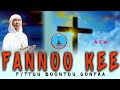 Fannoo Kee | F/ttu Boontuu Gonfaa - NEW ETHIOPIAN OROMO ORTHODOX  TEWAHIDO MEZMUR 2024/2016