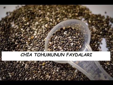 , title : 'CHİA TOHUMUNUN FAYDALARI'