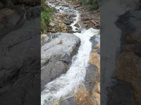 Cocorná Antioquia 🇨🇴💫🌳