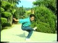 Eagle Claw Fight Mark Long Vs Chen Mu Chuan
