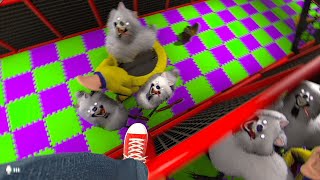 The Classrooms ENDLESS MODE (LEVEL 200 to 220)