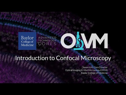 Introduction to Confocal Microscopy