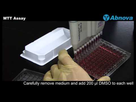 MTT Assay