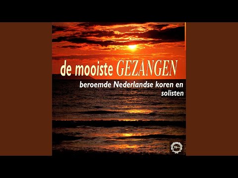 Meester, Men Zoekt U Wijd En Zijd