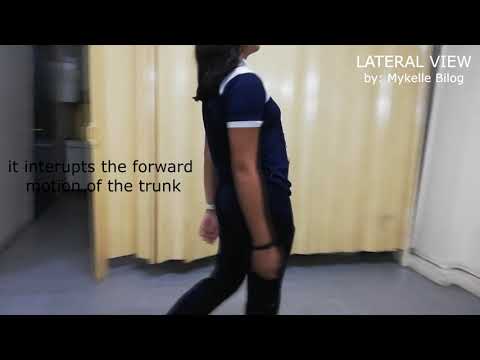 Gluteus Maximus Gait Grp6