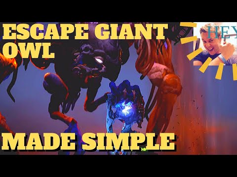 Ori & the Will of the Wisps: Escape Giant Owl Bird Boss Shriek (Feeding Grounds Windswept Wastes)