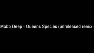 Mobb Deep - Queens Species (unreleased remix)