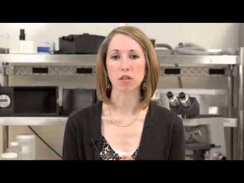 SoClean 2 CPAP Reiniger und Desinfektionsgerät