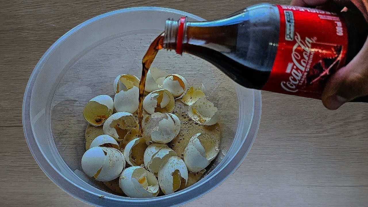 MORRIA E NÃO SABIA: É só bater COCA COLA com CASCA DE OVO e não gasto mais meu dinheiro