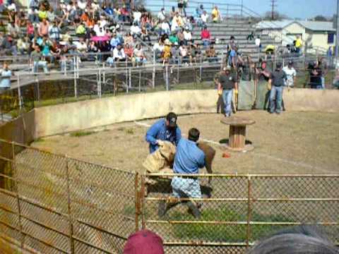 Sabinal Texas Wild Hog Festival 2010 Burlap Sack Upside Down!