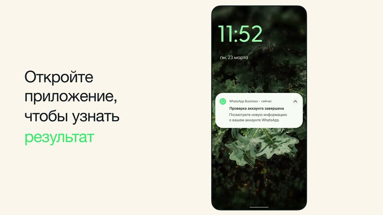 Что делать, если ваш аккаунт WhatsApp Business заблокирован | WhatsApp