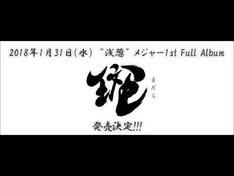 浅葱 - 螢火 (Preview)