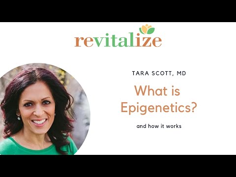 What is Epigenetics Animation