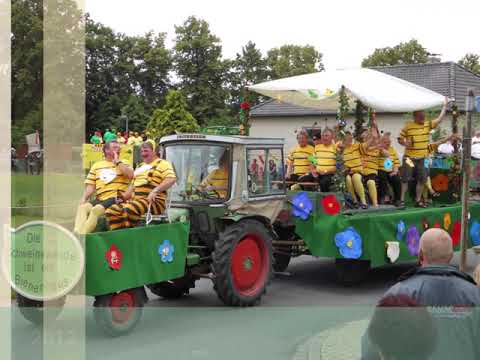 Die Kyffhäuser Bortfeld bis 2019