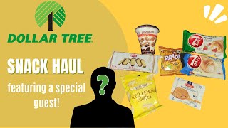 HAVE YOU EVER TRIED THE FOREIGN SNACKS AT DOLLAR TREE?!? | Small snack haul with a special guest 🥰 |